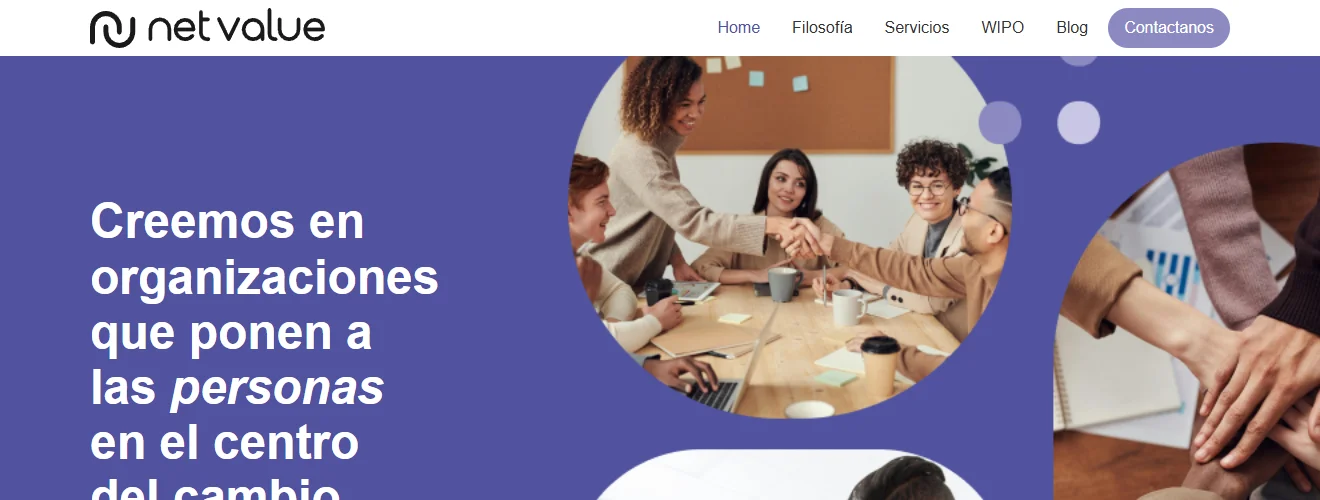 Imagen de portada del projecto Net Value